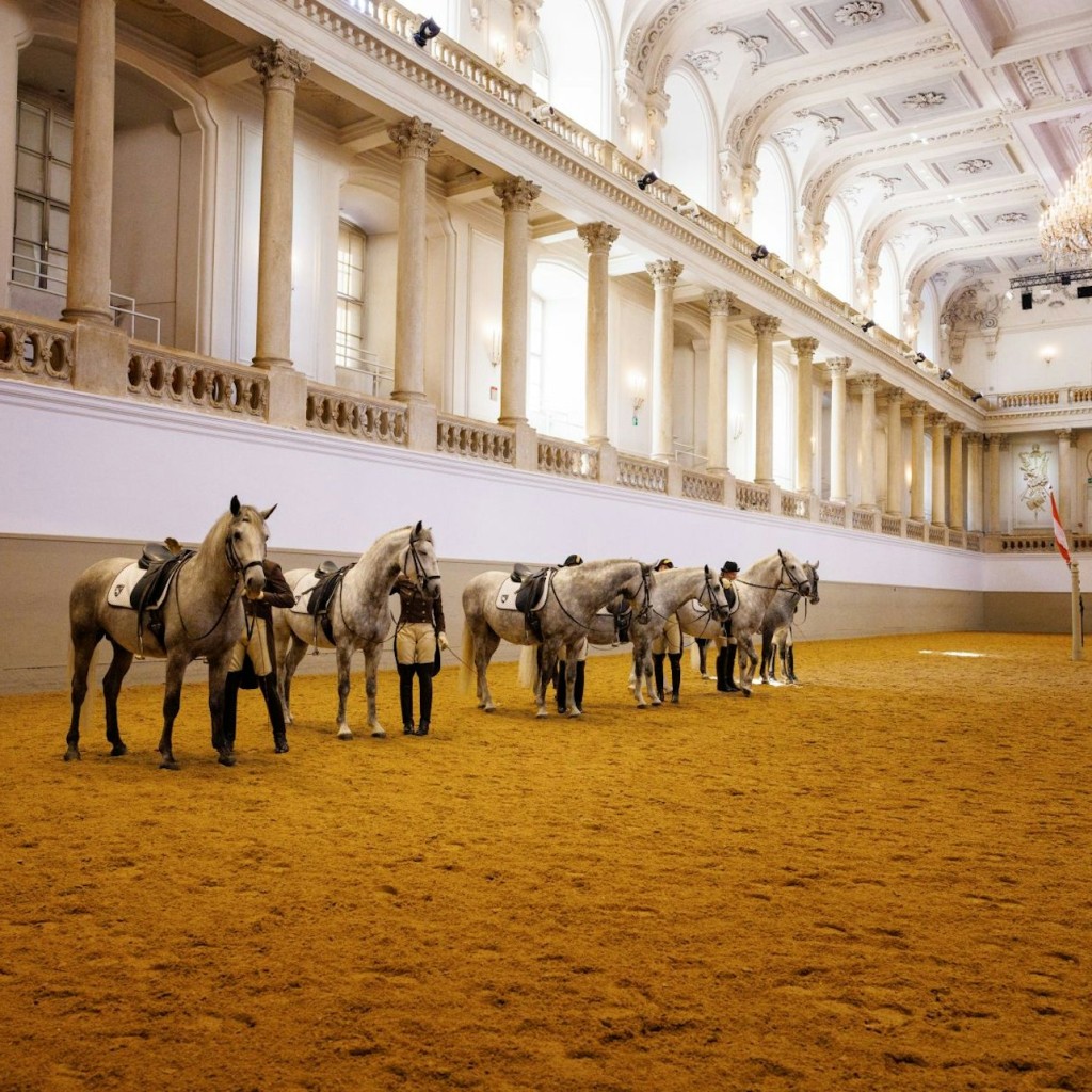Treinamento de Cavalos na Escola de Equitação Espanhola - 2
