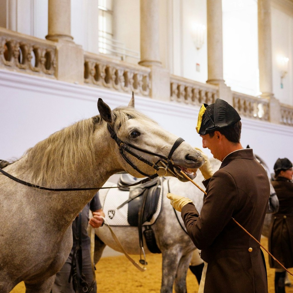 Treinamento de Cavalos na Escola de Equitação Espanhola - 3