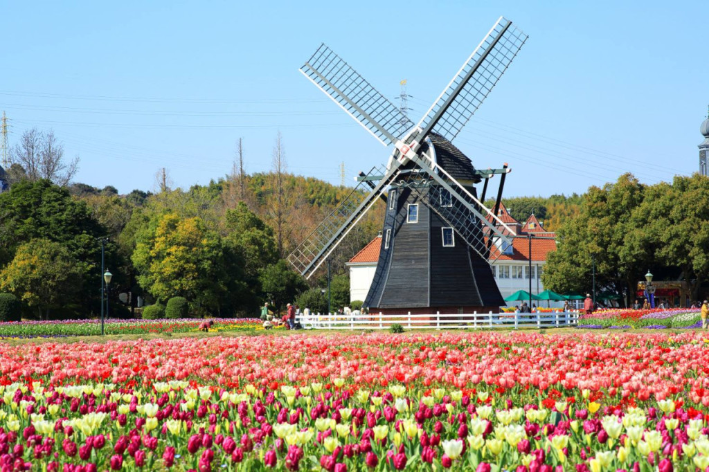 Huis Ten Bosch Theme Park (Huis Ten Bosch Theme Park - One-Day Passport for Direct Entry) - 2