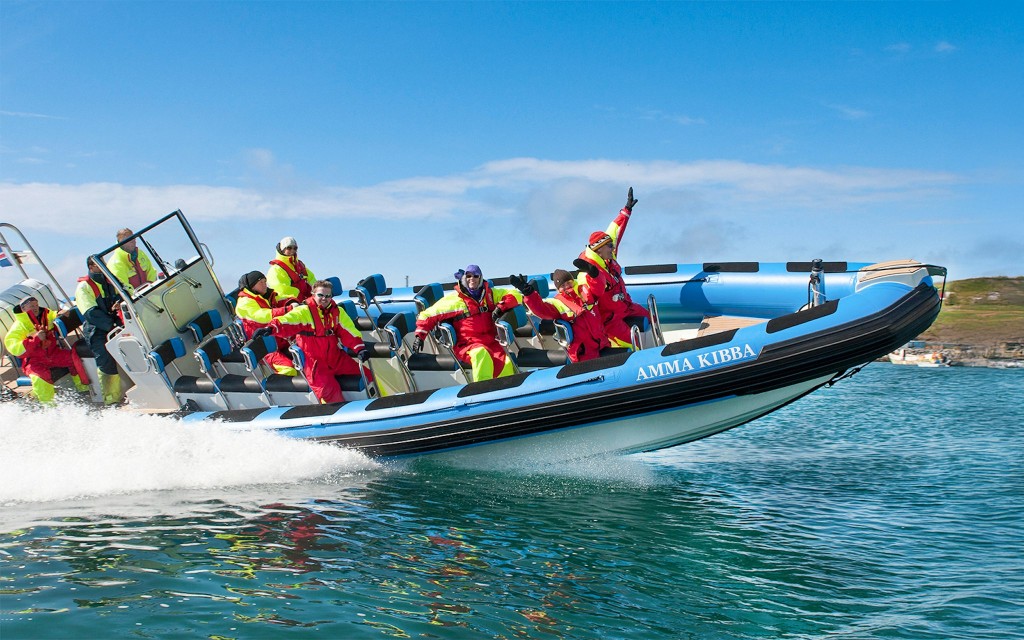 Ab Húsavík: Walbeobachtung mit dem RIB-Schnellboot (Standard rate) - 2