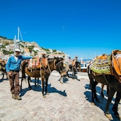 Hydra, Poros et Égine : Croisière guidée d'une journée avec déjeuner au départ d'Athènes - 1