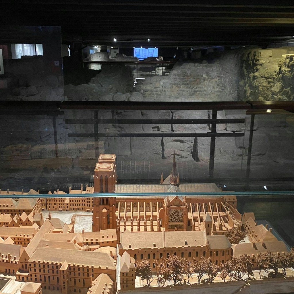 Île de la Cité : visite guidée à pied + entrée dans la crypte archéologique - 2