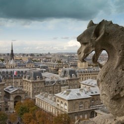 Île de la Cité: Walking Tour + Sainte-Chapelle Entry - 3