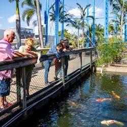 IMAG History & Science Center: Entry Ticket - 2