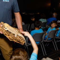 IMAG History & Science Center: Entry Ticket - 3