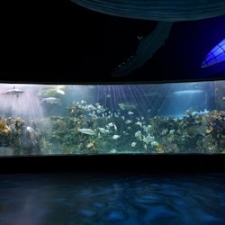 Inbursa Aquarium in Mexico City: Entrance Ticket - 1