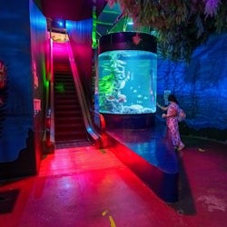 Inbursa Aquarium in Mexico City: Entrance Ticket - 2