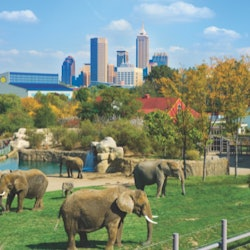 Indianapolis Attractions Pass - 1