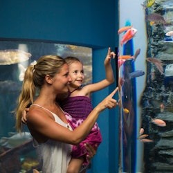 Interactive Aquarium Cancún: Entry Ticket - 1