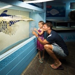 Interactive Aquarium Cancún: Entry Ticket - 2