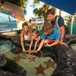 Interactive Aquarium Cancún: Entry Ticket + Dolphin Show - 3