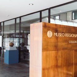 Interdisciplinary Regional Museum of Messina: Entry Ticket - 2