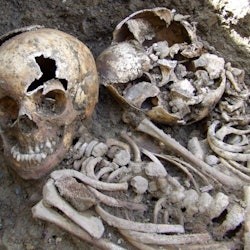 Irish Potato Famine Exhibition - 3