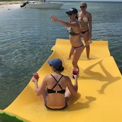 Island Excursion & Dolphin Watching - 1