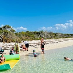 Island Excursion & Dolphin Watching - 2