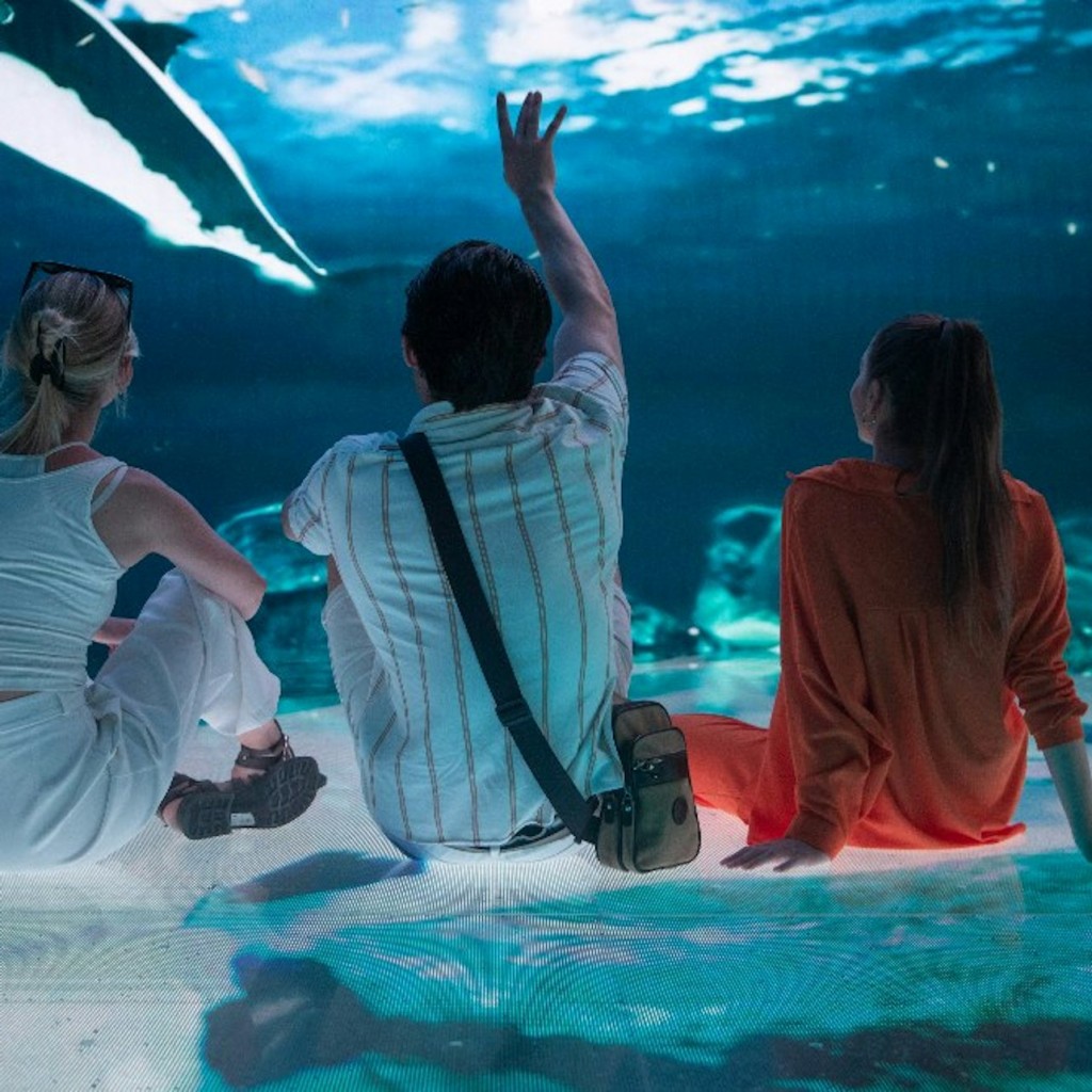 Istanbul Digital Experience Museum: Entry Ticket - 2