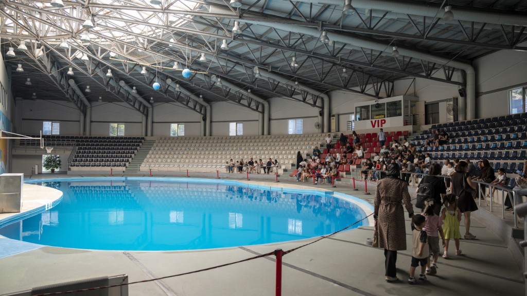 Istanbul Dolphin Show Regular Ticket - 1