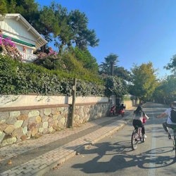 Istanbul: Princes' Islands Roundtrip from Istanbul - 1