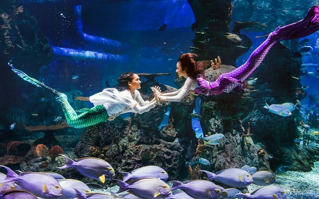 Jakarta Aquarium Safari Tickets (Regular Admission Ticket) - 1