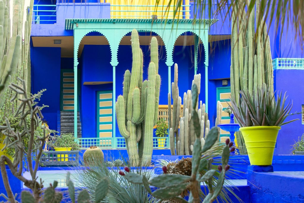 Jardin Majorelle Marakeş Giriş Biletleri - 3