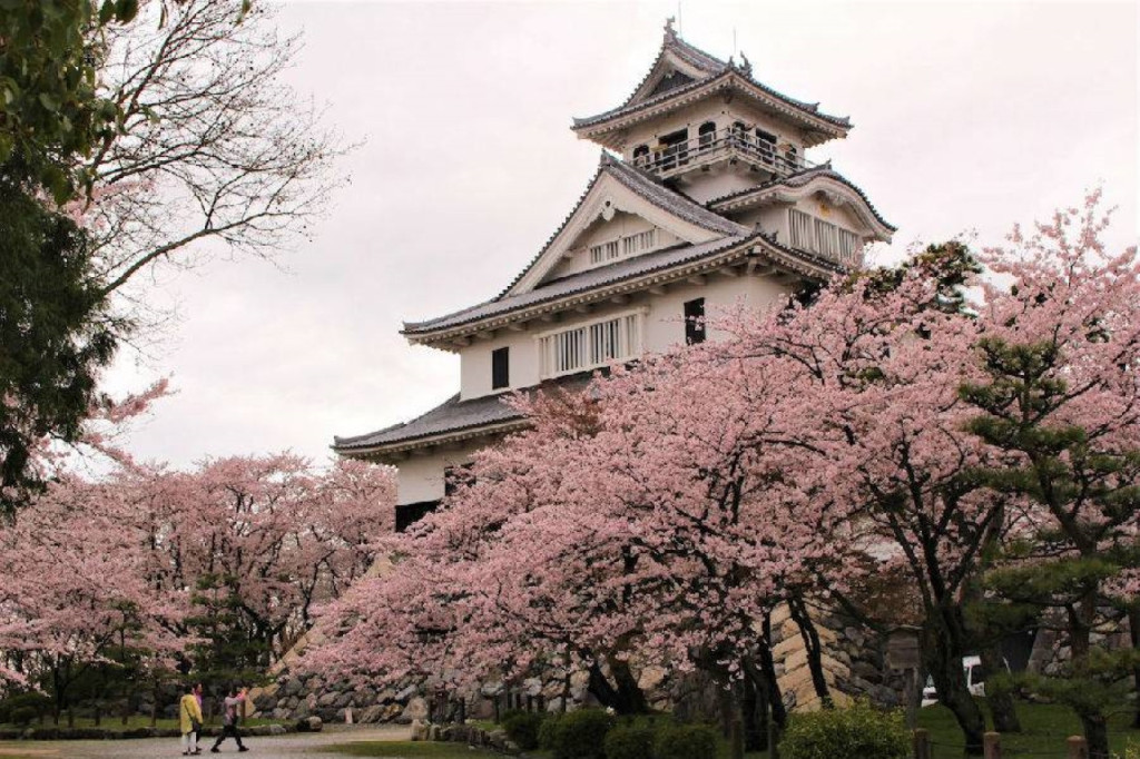 JR Kansai WIDE Area Pass (Have Fun in Okayama Pass - 1 Week Free Pass (Select 3) + Kansai Wide-Area 5-Day Rail Pass) - 3