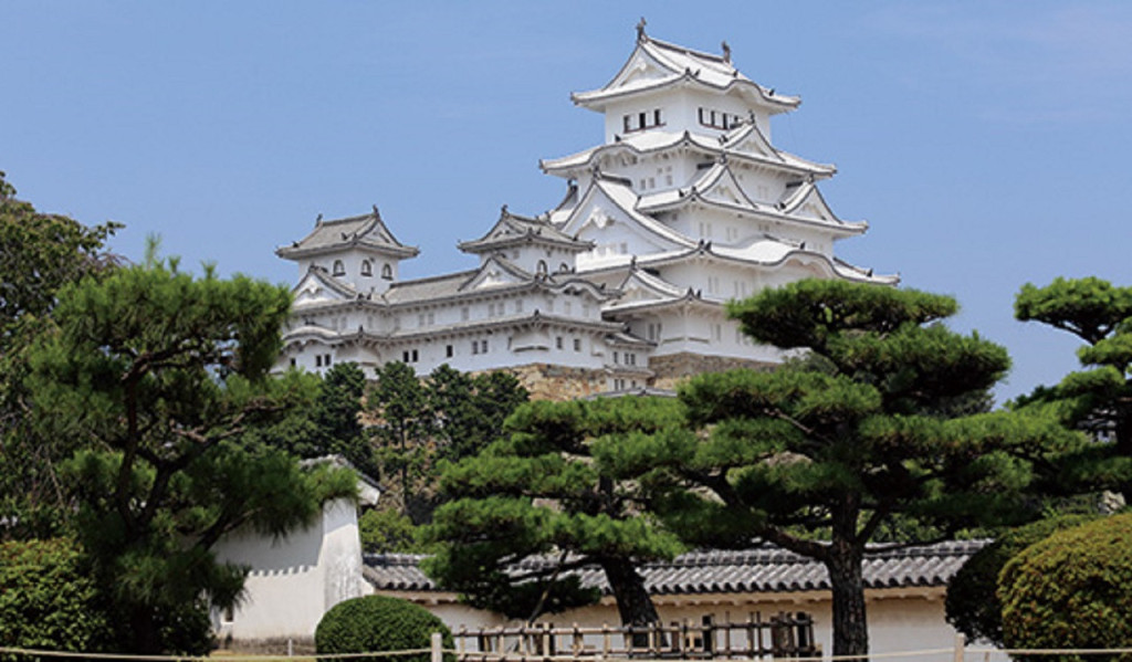 JR Kansai WIDE Area Pass (JR Kansai WIDE Area 5-Day Pass) - 3