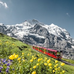 Jungfraujoch: Roundtrip Train from Interlaken Ost - 3
