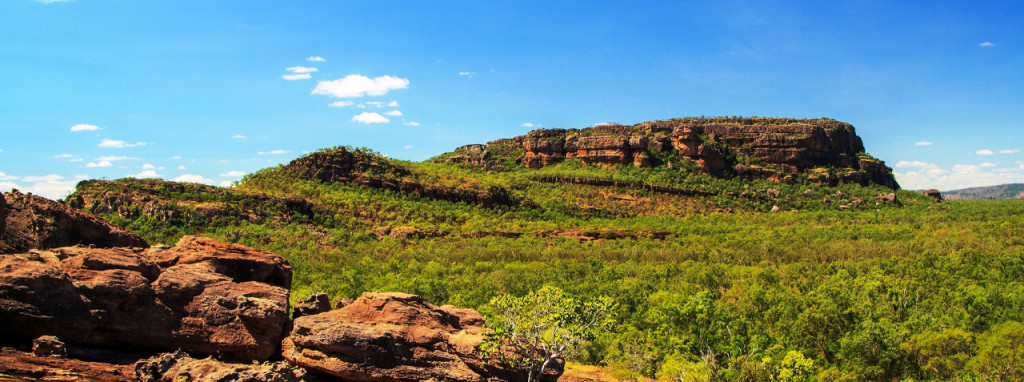 Kakadu National Park Tour from Darwin (Kakadu National Park Tour with Yellow Water Billabong Cruise) - 1