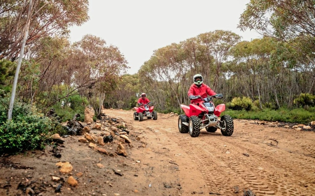 Passeio de quadriciclo pela Ilha Kangaroo (Kangaroo Island ATV Quad Guided Bike Tour) - 1