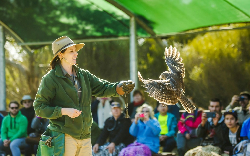 Kangaroo Island Sip & See Guided Tour with 2-Course Lunch, Return Ferry & Adelaide Transfers (From Adelaide: Guided Tour with Return Coach Transfers, Ferry and 2-Course Lunch) - 2