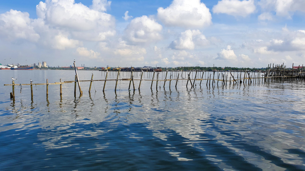 Kelong and Pulau Ubin Boat Tour (Kelong and Pulau Ubin Boat Tour - Morning Tour (8:30 AM Departure)) - 3