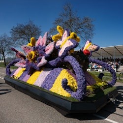 Keukenhof & Flower Parade: Day Tour from Amsterdam + Lunch - 1