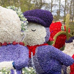 Keukenhof & Flower Parade: Entry Ticket + Tulip Tour - 2