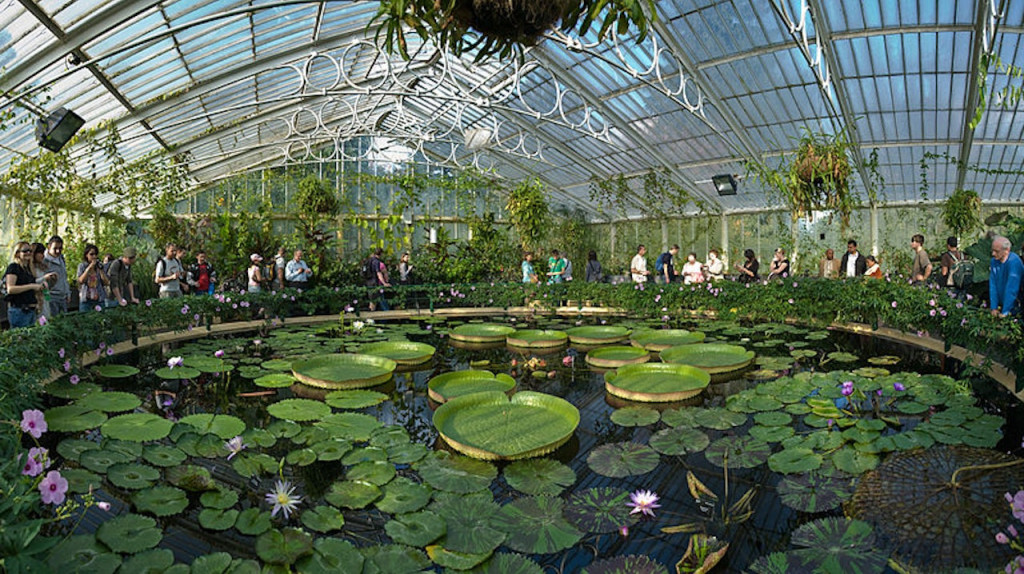 Kew Gardens (Skip The Line Admission) - 1