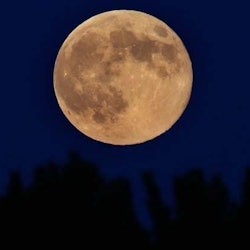 Key West Ghost & Mysteries Tour - 1