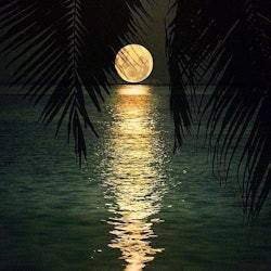 Key West Ghost & Mysteries Tour - 2