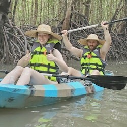 Kilim Geopark: Guided Mangrove Kayak Tour + Lunch - 3