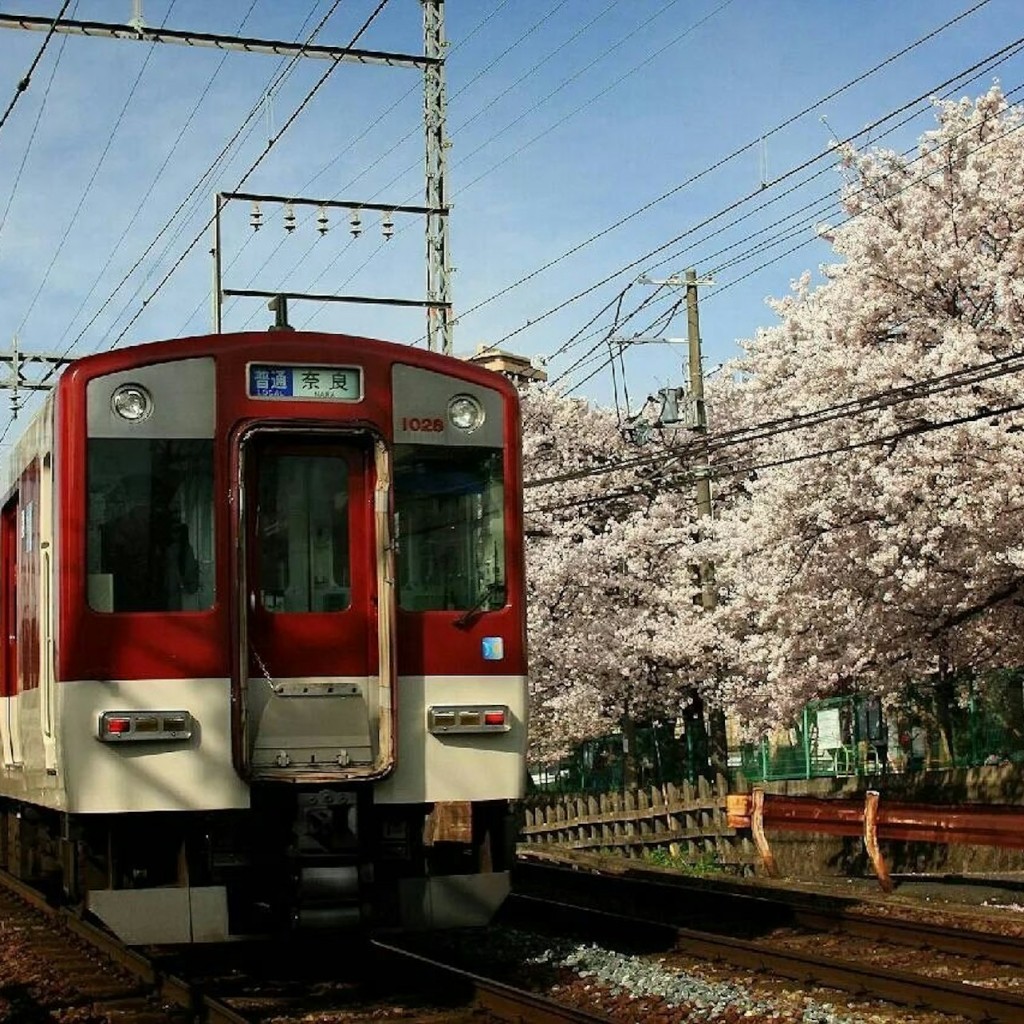 Kintetsu Rail: 1/2/5-Day Pass - 2