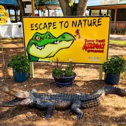 Kissimmee: 1-Hr Boggy Creek Everglades Airboat Tour - 2