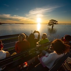 Kissimmee: 1-Hr Boggy Creek Sunset Everglades Airboat Tour - 1