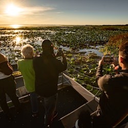Kissimmee: 1-Hr Boggy Creek Sunset Everglades Airboat Tour - 3