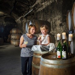 Klosterneuburg Abbey: Wine and Tasting Tour from Vienna by E-Bike - 2