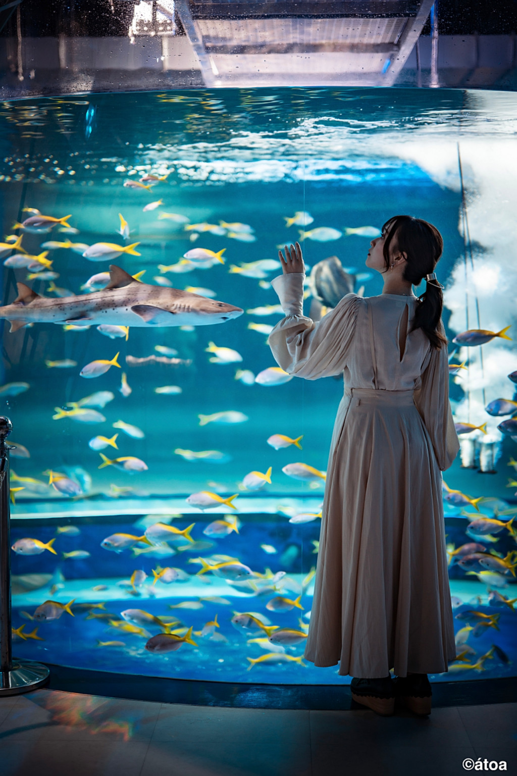 Kobe Urban AQUARIUM×ART atoa (Kobe Urban AQUARIUM×ART atoa - Admission) - 2