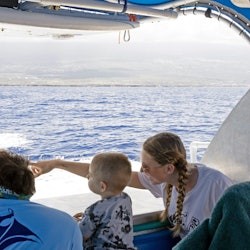 Kona: Whale Watching Tour - 2