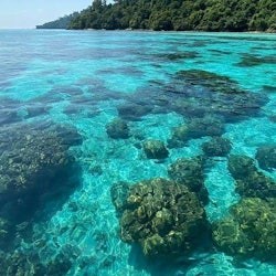 Krabi One day Koh Rok & Koh Haa Island from Aonang - 1