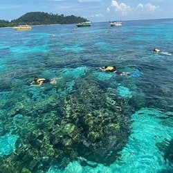 Krabi One day Koh Rok & Koh Haa Island from Aonang - 2