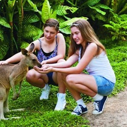 Kuranda Koala Gardens & Birdworld Kuranda: Entry Ticket - 2