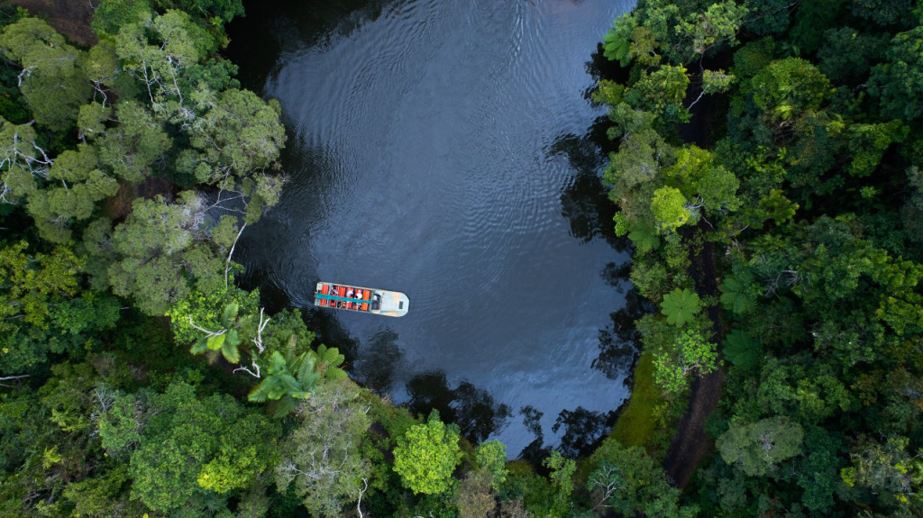 Kuranda Rainforestation Nature Park Full-Day Tour from Cairns with Kuranda Scenic Railway (Kuranda Rainforestation Nature Park Full-Day Tour from Cairns with Kuranda Scenic Railway and Lunch) - 3