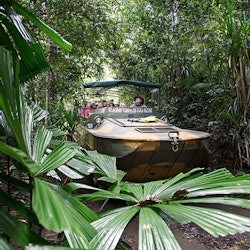 Kuranda Rainforestation & Transfer from Cairns - 3