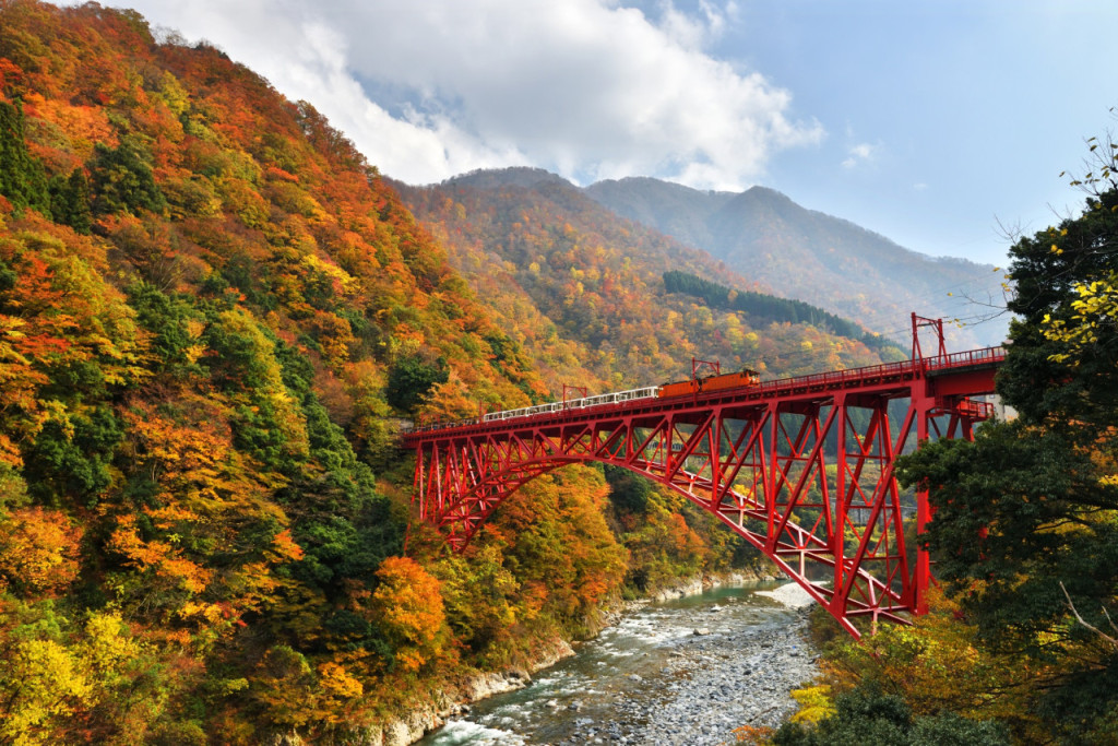 Kurobe Gorge Railway Ticket (Unazuki to Nekomata Standard Ticket (Round Trip)) - 1